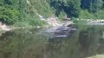 Lumi Erzen kthehet në llum