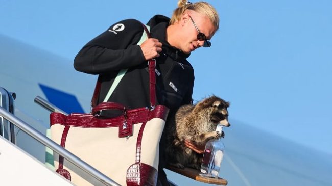 Haaland bëhet sërish viral, zbret në Oslo&hellip;