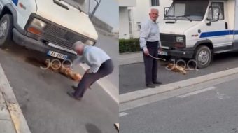 I moshuari godet qentë endacakë me shkopinj&hellip;