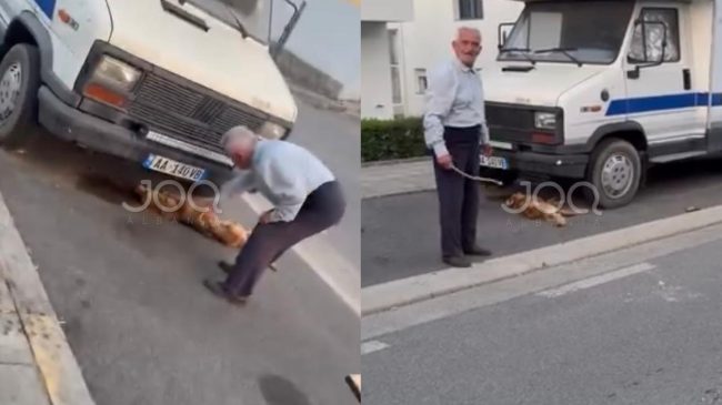 I moshuari godet qentë endacakë me shkopinj&hellip;