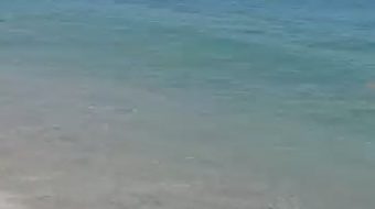 Turizmi “elitar” mirëpritet mes papastërtitë në plazhin&hellip;