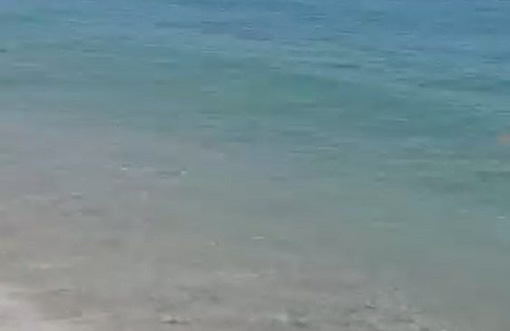 Turizmi “elitar” mirëpritet mes papastërtitë në plazhin&hellip;