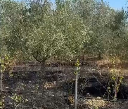 Fadromat e 4AM të Metaliajt lënë pa&hellip;