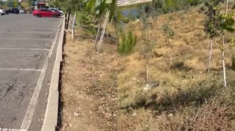 Asfalt i plasaritur dhe bar i tharë,&hellip;