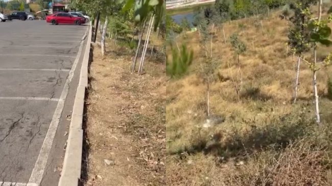 Asfalt i plasaritur dhe bar i tharë,&hellip;