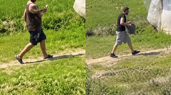 Çunat me muskuj e tatuazhe vjedhin rrush&hellip;