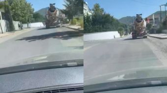 Betonierja “mbjell” beton në rrugën pranë TEG-ut