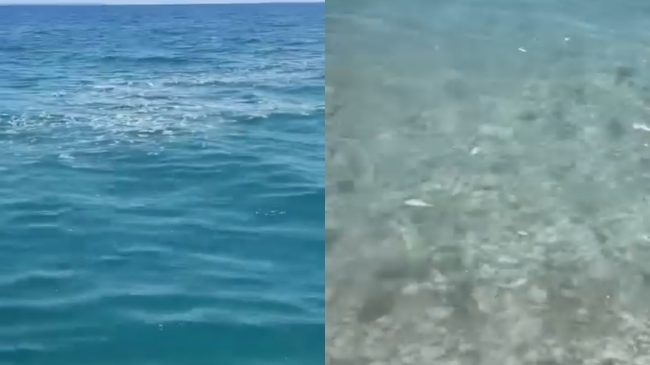 “Anijet po ndotin ujin në Borsh dhe&hellip;