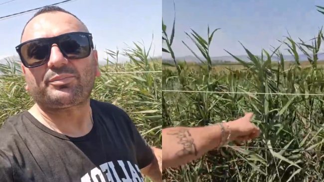 Shtyllat elektrike në Mylte kanë rënë, telat&hellip;