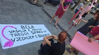 “Bela vasalja e mbretit tregoi SPAK-ut vjedhjen&hellip;