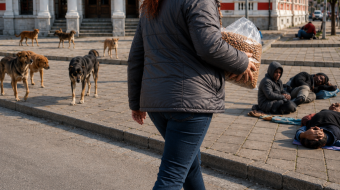 Brruna e Vlorës vjedh ushqimin e qenve&hellip;