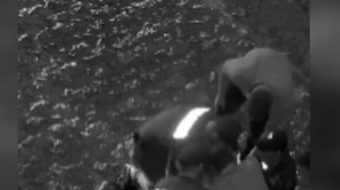 “Shtrihu në tokë”, arrestimi i Sterjos pasi&hellip;