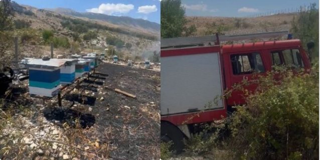 Përfshihet nga flakët një park bletësh në&hellip;