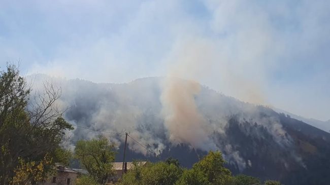 Zjarri në Lurë përkeqësohet, flakët i afrohen&hellip;