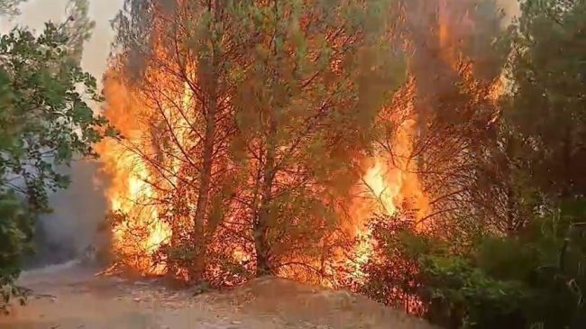 Riaktivizohet zjarri në Drenie, rrezikohet “mushkëria e&hellip;