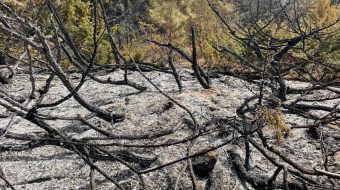 Zjarr masiv në malet e Dibrës, shkrumbohen&hellip;