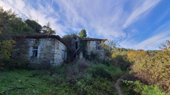 Kërcënohet me jetë gazetarja dhe operatori në&hellip;