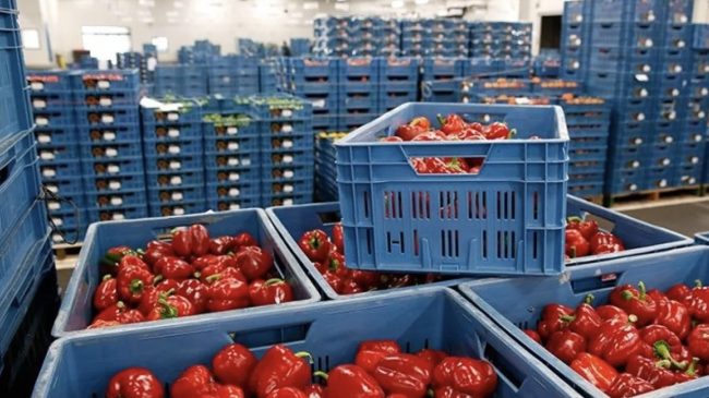 Rriten importet e ushqimeve në Shqipëri, prodhimi&hellip;