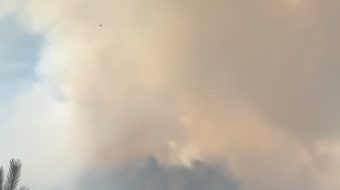 Zjarri shkrumbon Bjeshkën e Gojanit në Pukë
