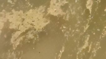 Deti është bërë llum në Lungomare, uji&hellip;