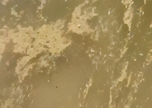 Deti është bërë llum në Lungomare, uji&hellip;