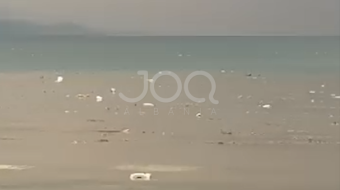 Masakër mjedisore në Liqenin e Ohrit, mbeturinat&hellip;