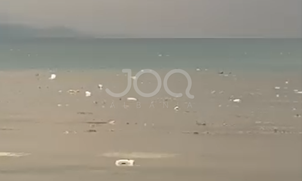 Masakër mjedisore në Liqenin e Ohrit, mbeturinat&hellip;