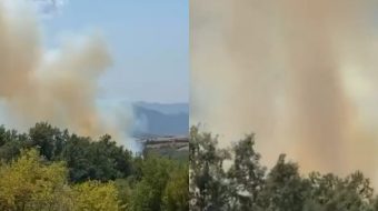 Zjarr në pyjet e Priskës së Madhe,&hellip;