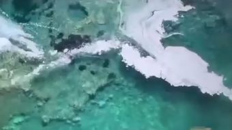 Anijet ndosin Porto Palermon, pushuesit dalin nga&hellip;