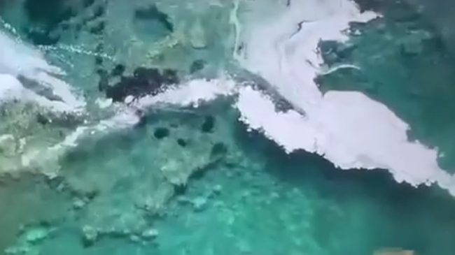 Anijet ndosin Porto Palermon, pushuesit dalin nga&hellip;