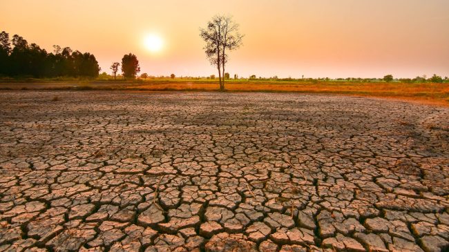 “Super” El Niño mund të sjellë humbje&hellip;