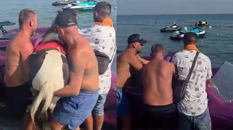 Velipojë: Hipin kalin në Jetski për t’i&hellip;