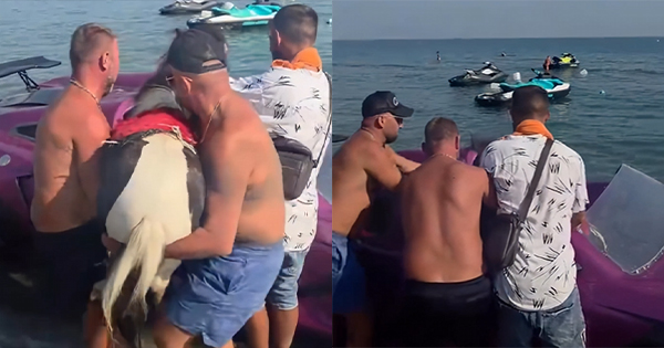 Velipojë: Hipin kalin në Jetski për t’i&hellip;