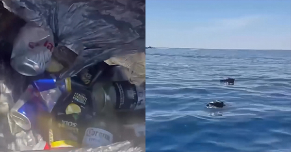 “Bastardët”: Zhytësi denoncon ndotjen masive në detin&hellip;