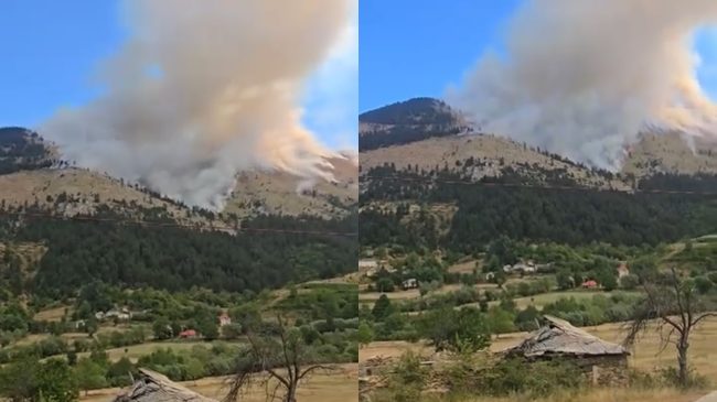Zjarri në Lurë: “Shteti të shmangë pasojat&hellip;