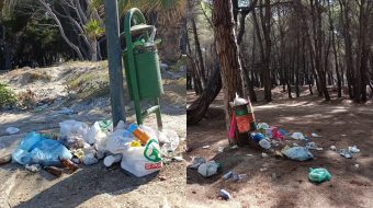 Plehrat pushtojnë Pyllin e Sodës në Vlorë