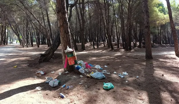 Pylli i Sodës plot plehra, qytetari: Gjendja&hellip;