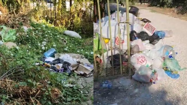 Plehrat pushtojnë Kavajën, krijojnë vatër infeksioni! Qosja&hellip;