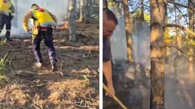 Zjarri rrezikon kurorën e gjelbër të Pukës