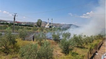 Zjarri përfshin ullinjtë në Cërrik, flakët pranë&hellip;