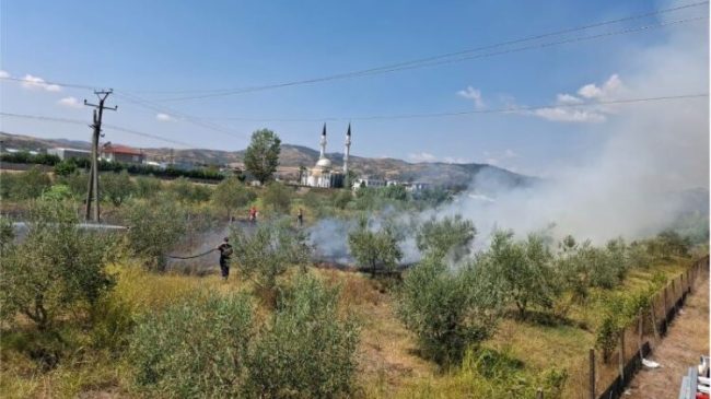 Zjarri përfshin ullinjtë në Cërrik, flakët pranë&hellip;