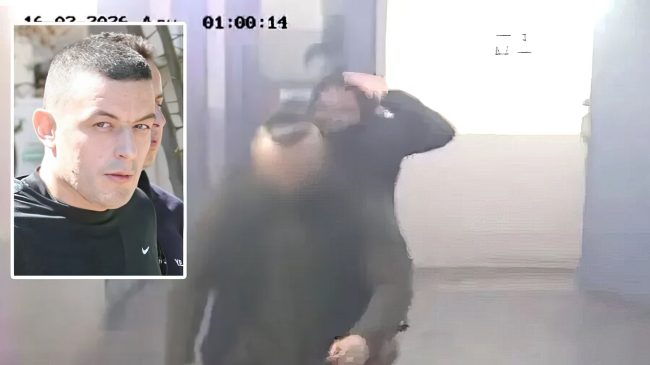 I zhdukur dhe në kërkim, Alket Rizai&hellip;