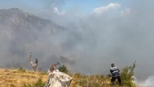 Lundër/ Zjarri del jashtë kontrollit, flakët rrezikojnë&hellip;