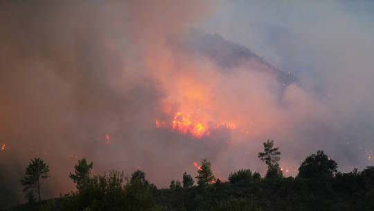 Zjarre masive në Antalya të Turqisë, qindra&hellip;