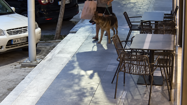 Pas denoncimit në JOQ Reagon qytetarja: “Nuk&hellip;
