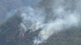 Zjarr në Nikël, flakët përfshijnë masivin pyjor