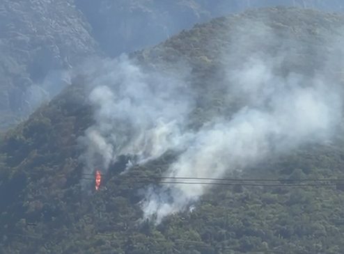 Zjarr në Nikël, flakët përfshijnë masivin pyjor