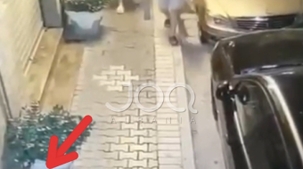 “Turistët elitarë vjedhin karrigen në mes të&hellip;