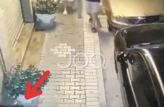 “Turistët elitarë vjedhin karrigen në mes të&hellip;