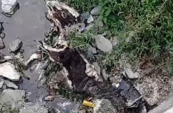 “Dy viça të ngordhur në burimin e&hellip;